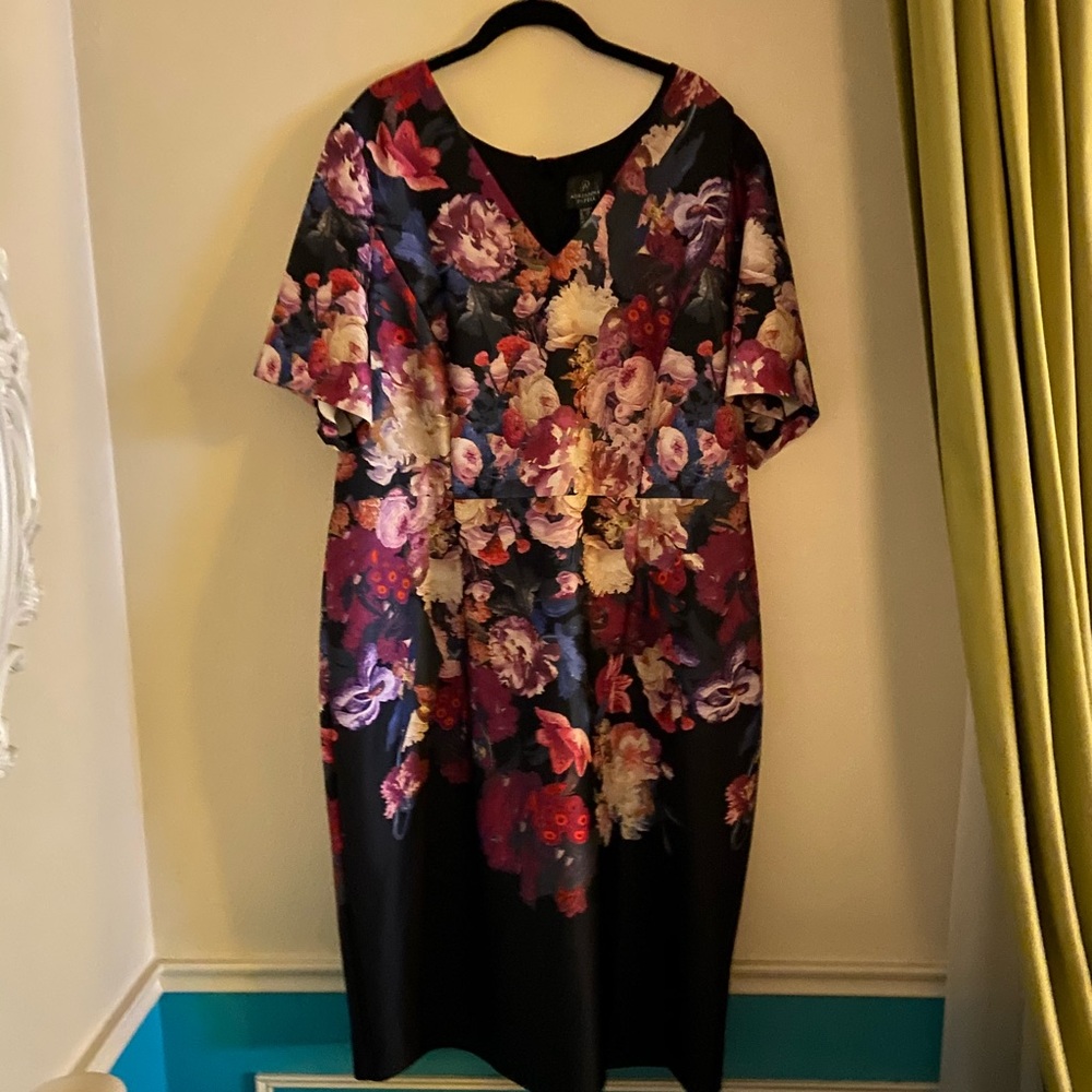 NWT Adrianna Papell Floral Print Dress 24w